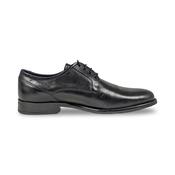 Dubarry Darrel Mens Laced Dress Shoe image