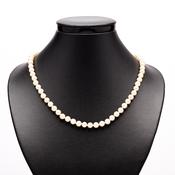 Cultured pearl necklace image