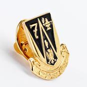 North Western Health Board Pin