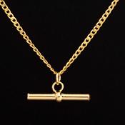 9 Carat Gold T-Bar &amp;amp; Chain image