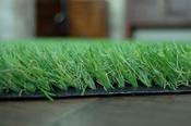 Evergreen Artificial Grass - Oryzon image