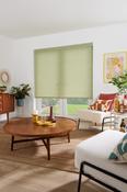 Roller Blind - Zen Kiwi