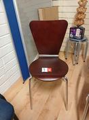 Walnut Molded Chair
