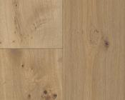 Harvest Oak