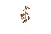 Berry branches