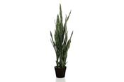 Sanseveria Plant 97cm image
