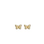 Yellow Gold Butterfly Earrings image