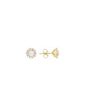 Bronzallure Golden CZ Flower Stud Earrings image