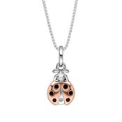 D for Diamond Ladybird Pendant Necklace image