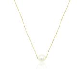 Cultured Pearl Gold Chain Necklace image
