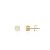 Yellow Gold &amp; CZ Cluster Stud Earrings