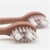 Spotlight Oral Care Sonic Toothbrush Replacement Heads - Rose Gold image