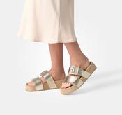 Paul Green - 6157 Gold Mule