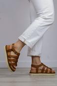 Carmela - 163030 Tan Gladiator Sandal image