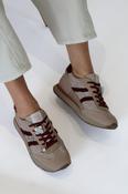 Teddy Smith - 121126 Taupe &amp; Burgundy Trainer image