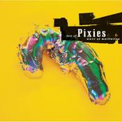 Pixies  - Wave of Mutilation : Best Of (Vinyl)