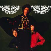 The Jimi Hendrix Experience - Are You Experienced? (Vinyl)