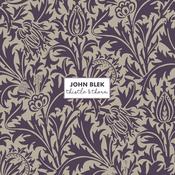 John Blek - Thistle &amp;amp;  Thorn (CD) image