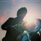 Richard Hawley ‎– Lowedges (Vinyl) image