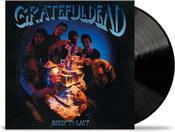 Grateful Dead - Built to Last (Vinyl)