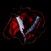 Black Veil Brides - Bleeders (CD)