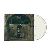 Dermot Kennedy - The Weight of the Woods (CD) image