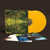 Band Of Horses - Everything All The Time (20th Anniversary Edition)(Opaque Yellow Vinyl)(Pre-Order) image