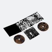 20TH CENTURY PADDY - THE SONGS OF SHANE MACGOWEN (CD) (PRE ORDER) image