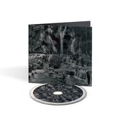 LAMBCHOP - PUNCHING THE CLOWN (CD) image