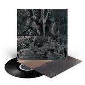 LAMBCHOP - PUNCHING THE CLOWN (Vinyl) image