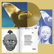 Protomartyr - Hotel Usona (Gold Vinyl) image