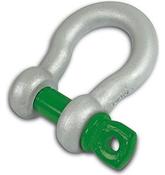 Standard Shackles Alloy D &amp;amp; Bow