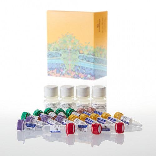 AccuMAP Low pH Protein Digestion Maxi Kit in Kilkenny GetLocal Ireland