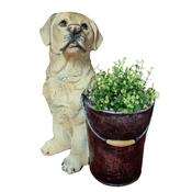 Labrador with Bucket Planter image