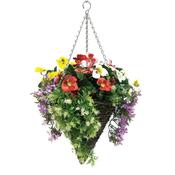 Pansy Cone Hanging Basket 30cm