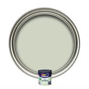 Dulux Soft Sheen Emulsion Paint for Walls &amp; Ceilings - Pearl Green, 5 Litres