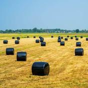 Silage Wrap - Black