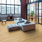 Whiteriver Robusto 12mm Laminate Flooring - Adaja Oak image