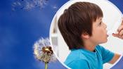 Common Medical Emergencies: Asthma image