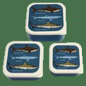 Shark Set of 3 Snack Boxes -Blue / White image