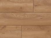 Fourteen Solid 4V Mountain Oak Gold 14mm image