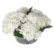 White Hydrangea Arrangement in Glass Bowl
