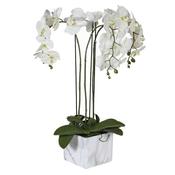 Faux White Orchid in Marbled Ceramic Pot