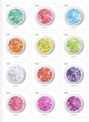 Set of 12 DISCO glitters 