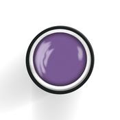 TEXTURE Gel Paste Wild Orchid 