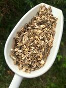 Angelica root