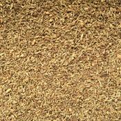 Aniseed