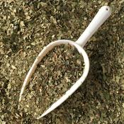 Birch leaf