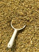 Chamomile