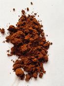 Chaga mushroom image